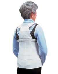 Alimed Lumbar and Thoracic Support