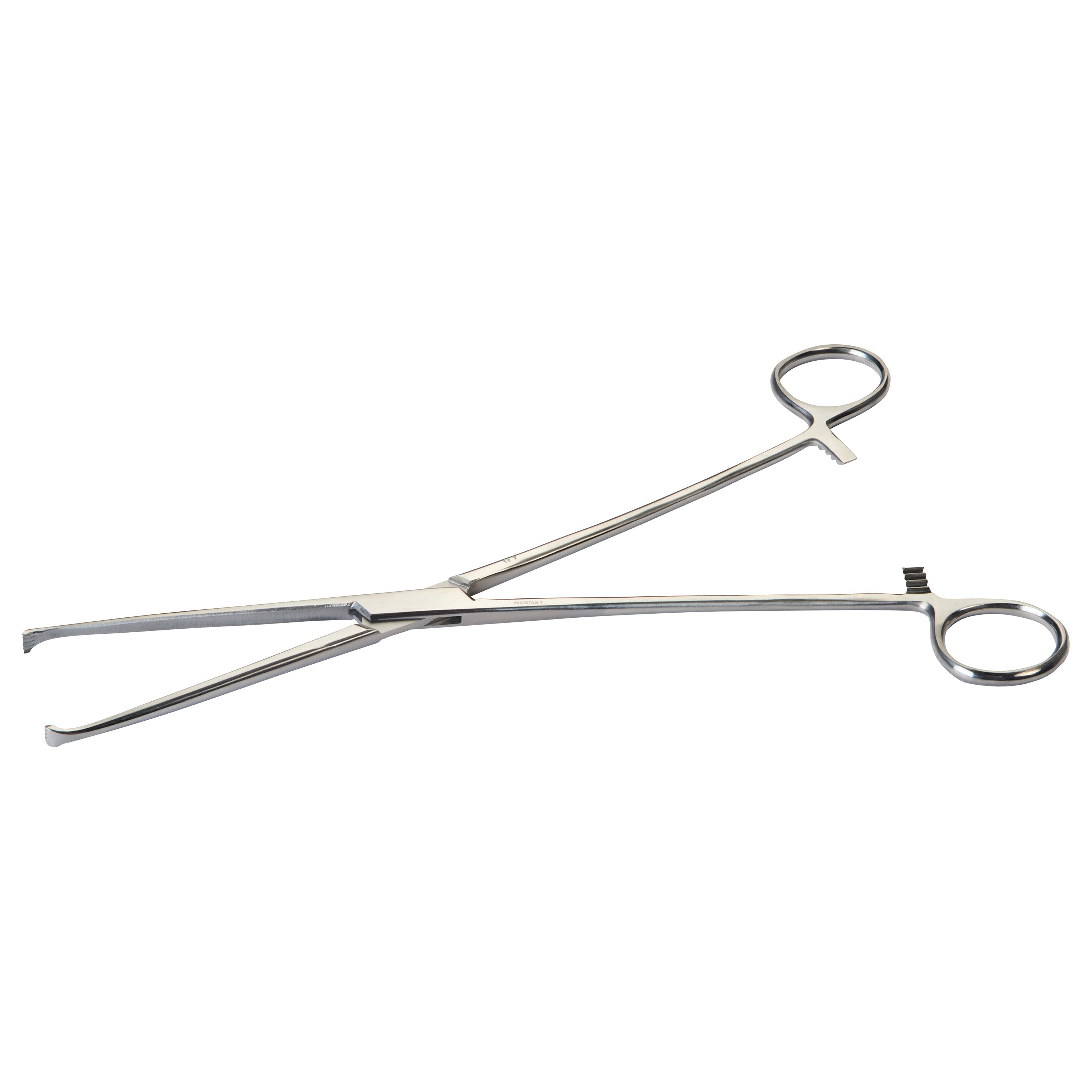 Allis Tissue Forceps are surgical instruments with long handles and toothed tips, designed for grasping and holding tissue.
