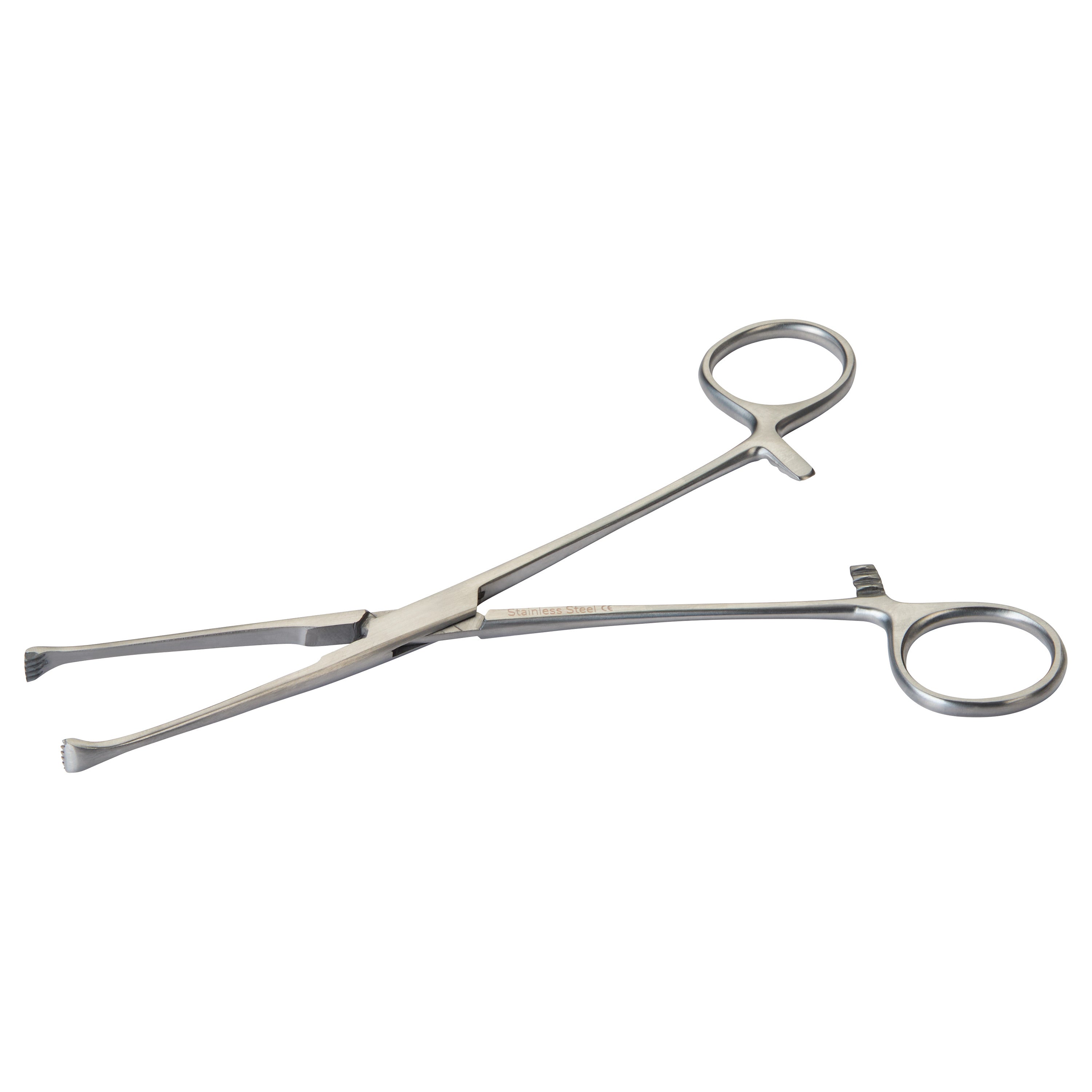 Allis Tissue Forceps with serrated jaws and looped handles, designed for grasping and holding tissue during medical procedures.